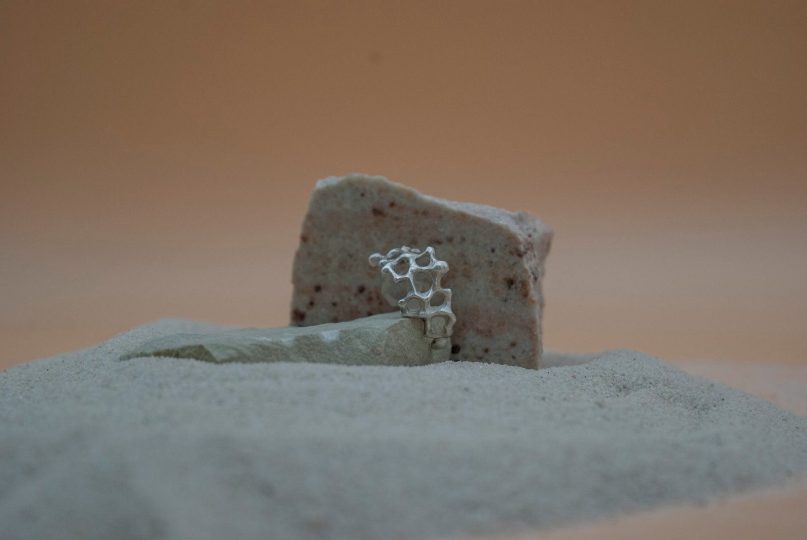 Fragmentum Fluxae V - Image 3
